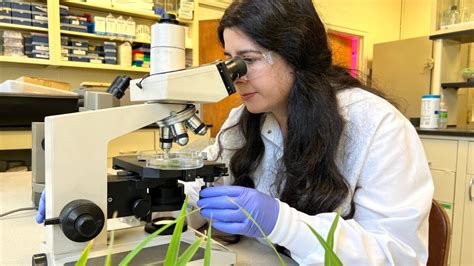 7 Signs an Agronomy College Major Is Ripe For You | Crop and Soil ...