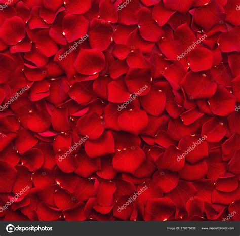 Background of red rose petals — Stock Photo © baibaz #179576638