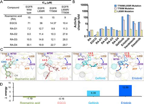 Type-C inhibitors against drug-resistant EGFR. (A) IC50 values of ...