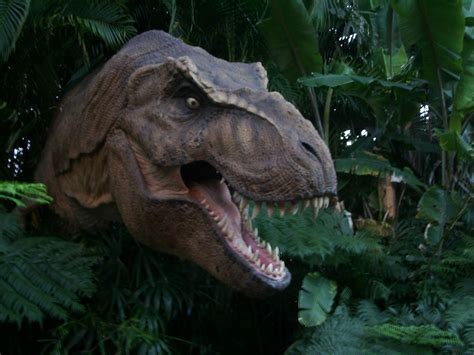 T-Rex Dinosaur | (Photo taken at Universal Studios "Jurassic… | Flickr