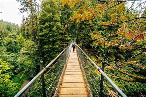 11 Incredible Hikes Near Cannon Beach along the Oregon Coast - Uprooted Traveler