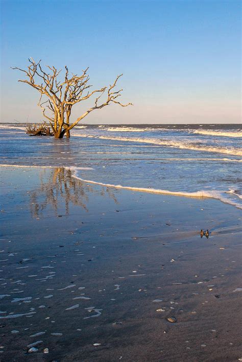 Botany Bay Sunrise on Edisto Island SC Photograph by Willie Harper - Fine Art America