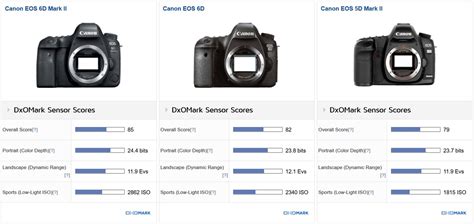 vistakillo.blogg.se - Youtube canon 5d mark iii vs 6d mark ii