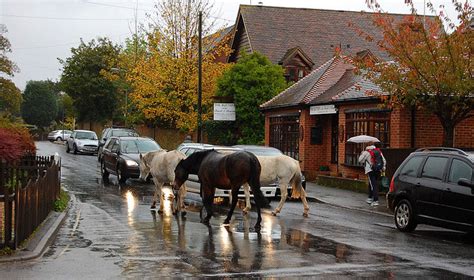 Brockenhurst Hotels and Guide - Compare Hotels in Brockenhurst