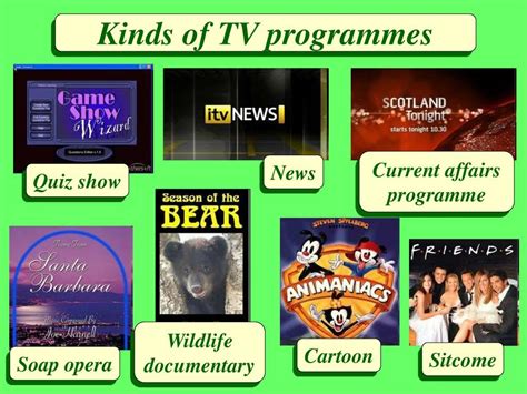 TYPES OF TV SHOWS | Quizizz
