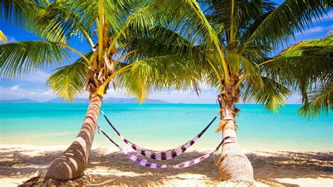 Tropical Beach Hammock Ultra HD Desktop Background Wallpaper for 4K UHD TV : Widescreen ...