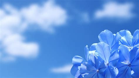 64+ Blue Sky Wallpaper Background