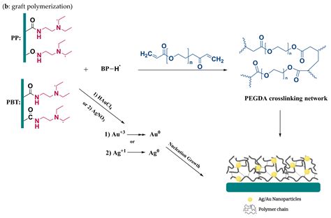 Polymers | Free Full-Text | Surface Modification of PP and PBT Nonwoven Membranes for Enhanced ...