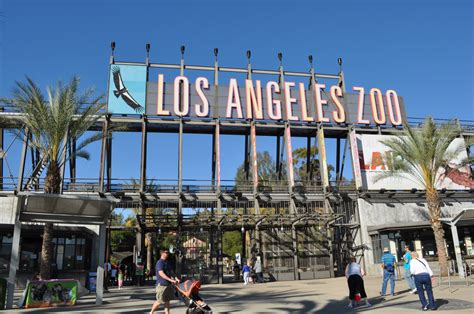 An Insider’s Guide to the Los Angeles Zoo