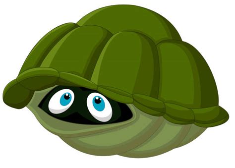 Scared Turtle Clip Art, Vector Images & Illustrations - iStock