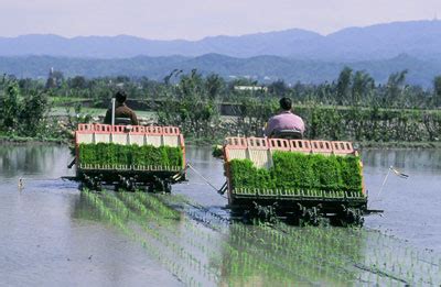 Products - Buy Rice Transplanter from Amisy Farming Machinery, China ...