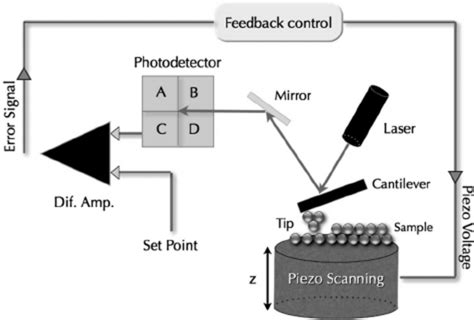 Atomic force microscope (AFM) diagram of operation: The AFM consists of ...