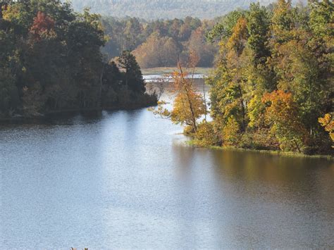 Pennyrile Forest State Resort Park's Naturalist & Recreation Blog: ColoFall Report Week 5 ...