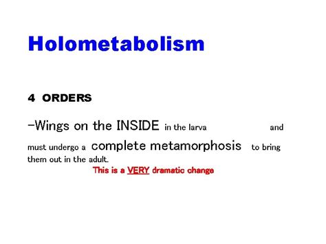 Phylum Arthropoda Subphylum 4 Uniramia DIC or CID