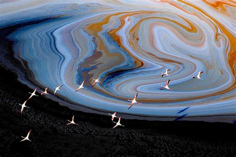 Flamingos fly over the alien-like landscape of Kenya’s Lake Magadi ...