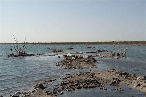 Abandoned Texas oil wells are blowing out. The state won't fix them ...