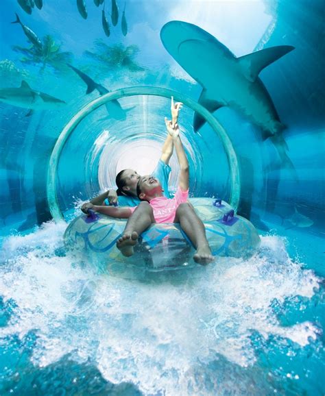 Journey into the heart of excitement at Aquaventure, the largest ...