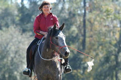 Self-Assessment: An Essential Horsemanship Tool | Natural horsemanship ...