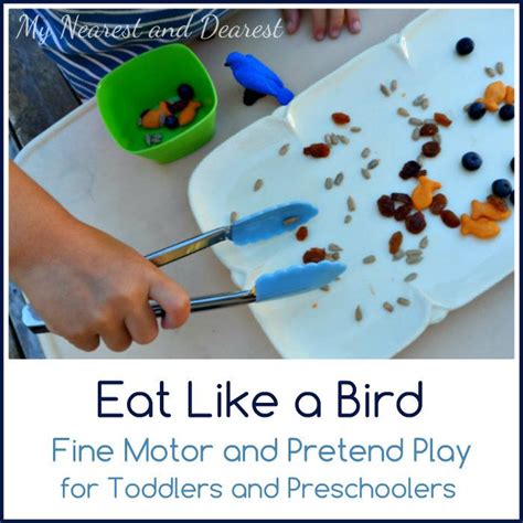 Eat Like a Bird. Fine motor and pretend play for toddlers and ...