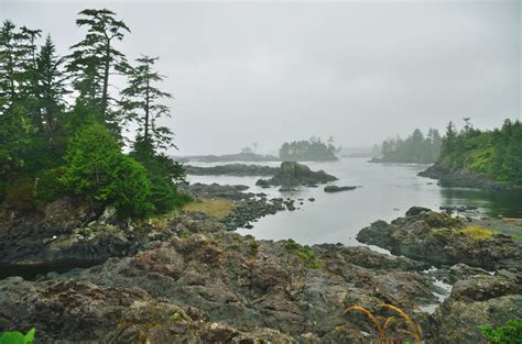 Ucluelet and Tofino in the storm – Chewy