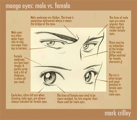 manga eyes: male vs female by https://www.deviantart.com/markcrilley on ...