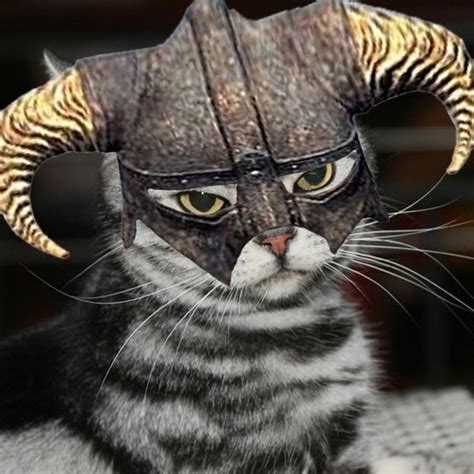 How Viking Cats of Yesteryears Differed from Today’s Cats | Cats, Cat facts, Vikings