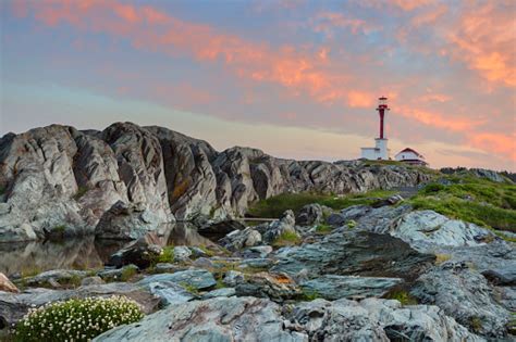 Cape Forchu Lighthouse Pictures | Download Free Images on Unsplash