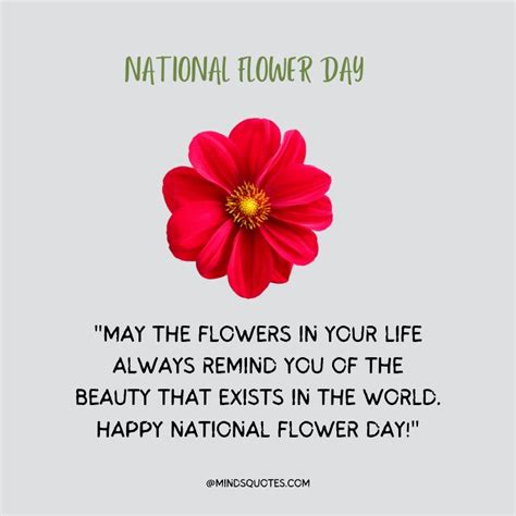 35 Famous National Flower Day Wishes, Quotes & Messages