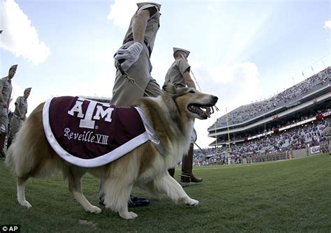 Texas A&M player offers insight into thrill of playing College Football ...