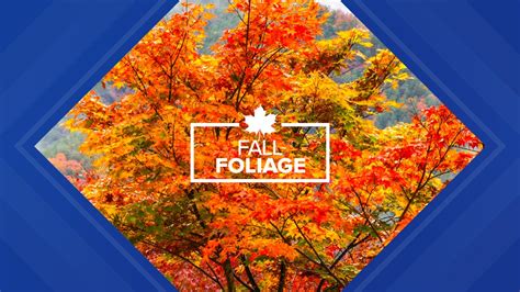 State expert explains science of fall colors | wnep.com