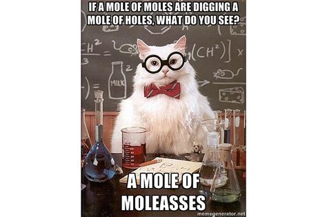 Best of Chemistry Cat - Science Meme