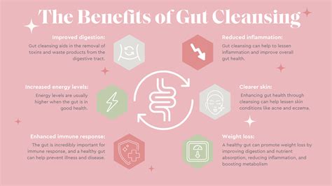 The Ultimate Guide to Gut Cleansing - Jess Wilson