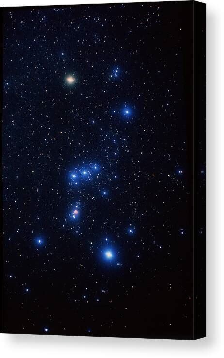 Orion Constellation Art