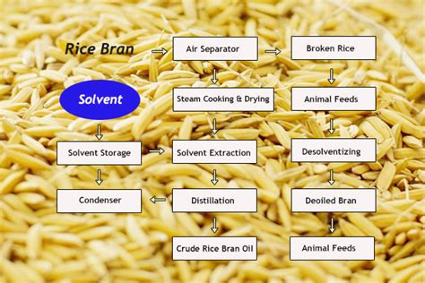 Rice bran oil extraction process_FAQ