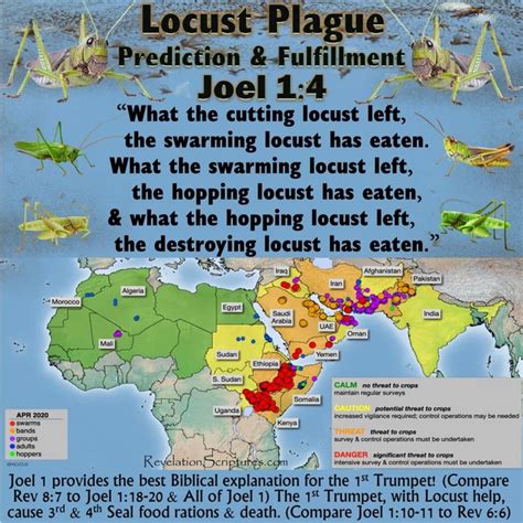 Joel 1 Locust Plague and the 1st Trumpet and the 3rd Seal Connection - Revelation | Revelation ...