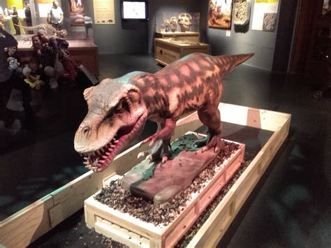 Review Dinosaur Babies, National Museum Cardiff by Eloise Stingemore - Get The Chance