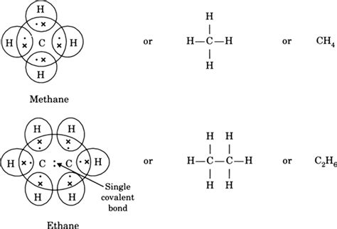 Hydrocarbons Examples