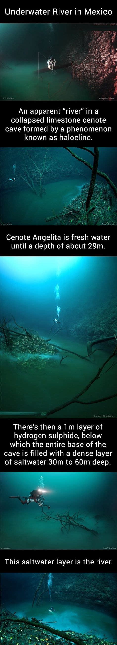 Underwater river, Mexico | Underwater river, Places to see, Underwater