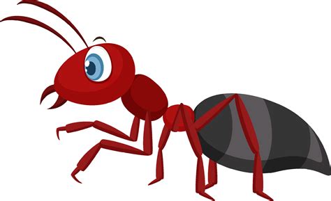 Red ant isolated on white background 8334946 Vector Art at Vecteezy