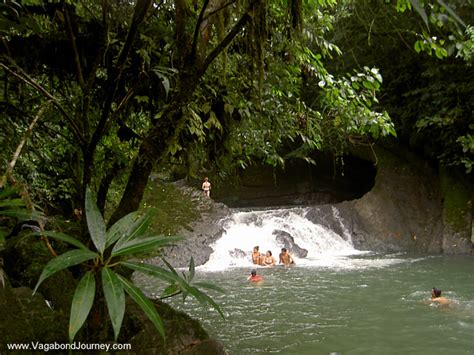 Amazon Tropical Forest in Ecuador