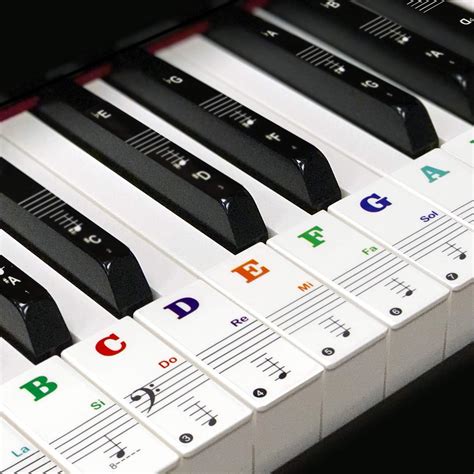 Buy Piano Keyboard Stickers for 49546188 Key - Piano Stickers,Keyboard Note Stickers for Black ...