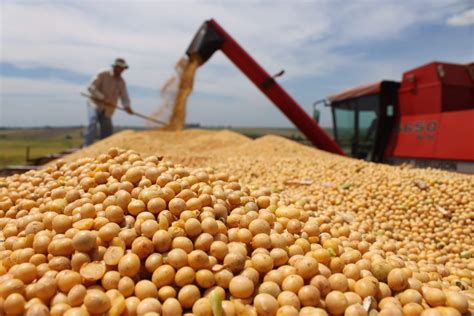 How herbicide-resistant GMO soybeans transformed Brazil's economy ...