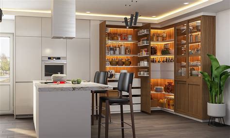 Kitchen Pantry Design Ideas For Your Home | Design Cafe