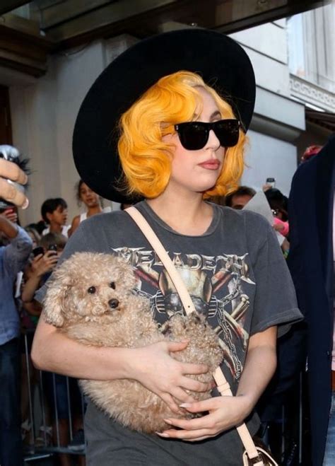 Lady Gaga and Her New Dog Fozzi (25 pics)