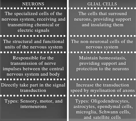 [Solved] How is a Glial cell different from a neuro? please lists 6 types of... | Course Hero