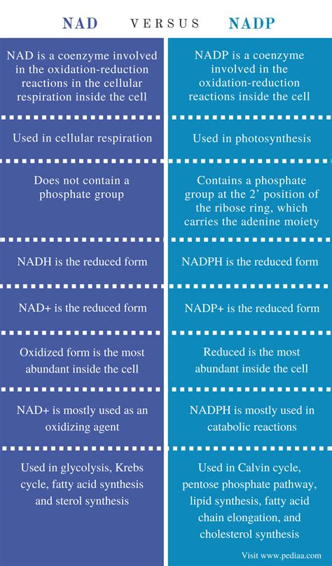 Difference Between NAD and NADP | Definition, Features, Function, Similarities | Biology facts ...