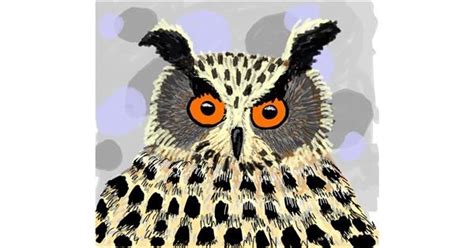 Drawing of Owl by Thomas - Drawize Gallery!