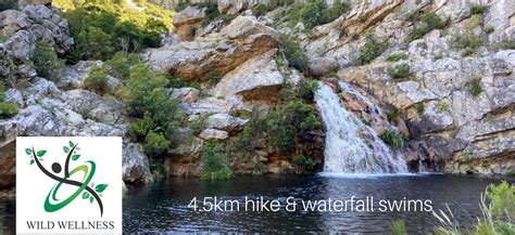 Kogelberg: Hike plus a waterfall swim | Xplorio Pringle Bay & Rooi Els