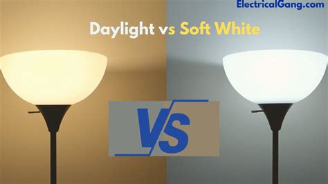 Daylight vs Soft White | Understanding the Differences in Lighting