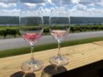 9 Keuka Lake Wineries You Should Visit in the Finger Lakes